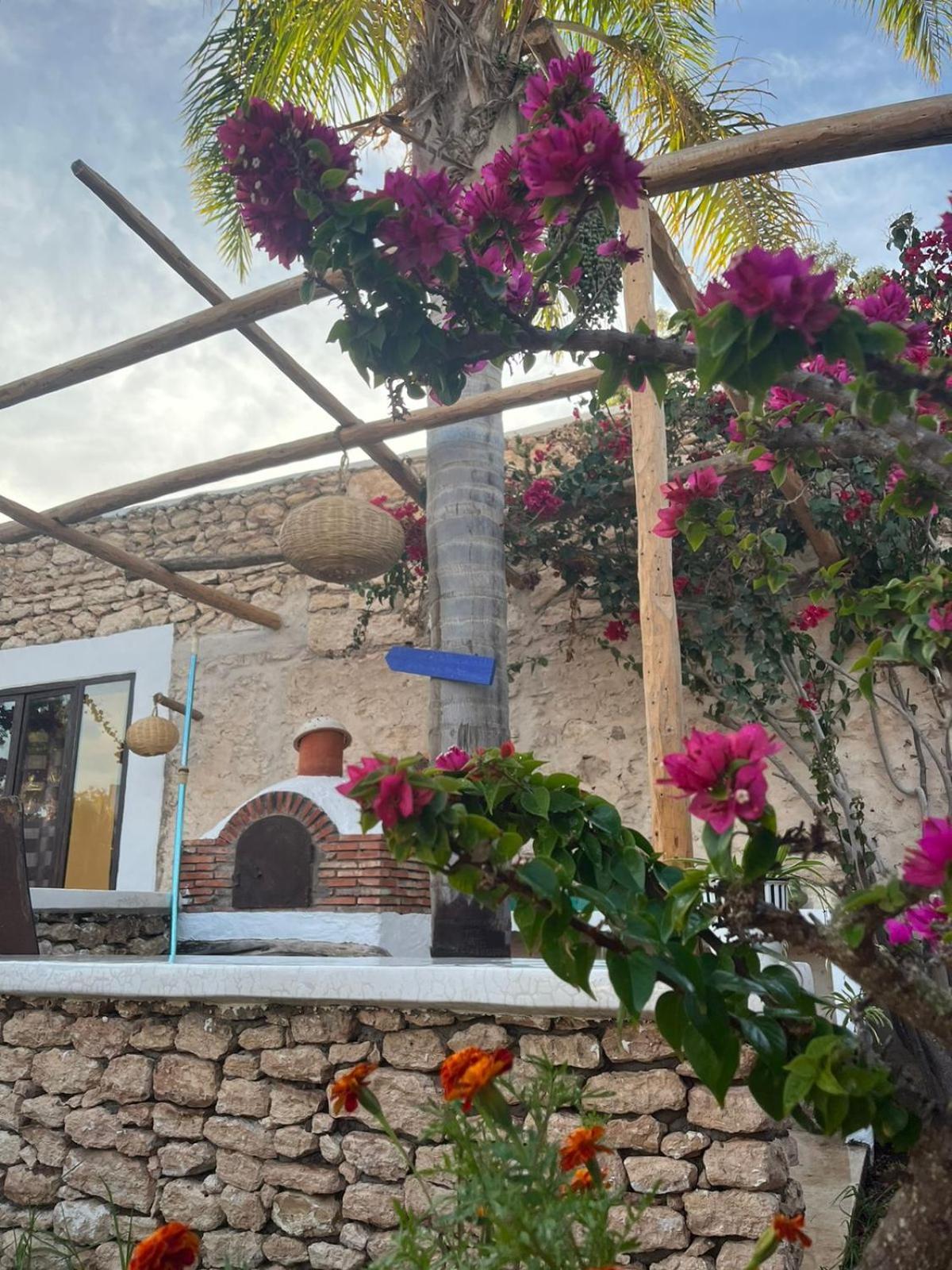 Riad Eucalyptus Essaouira Exterior foto