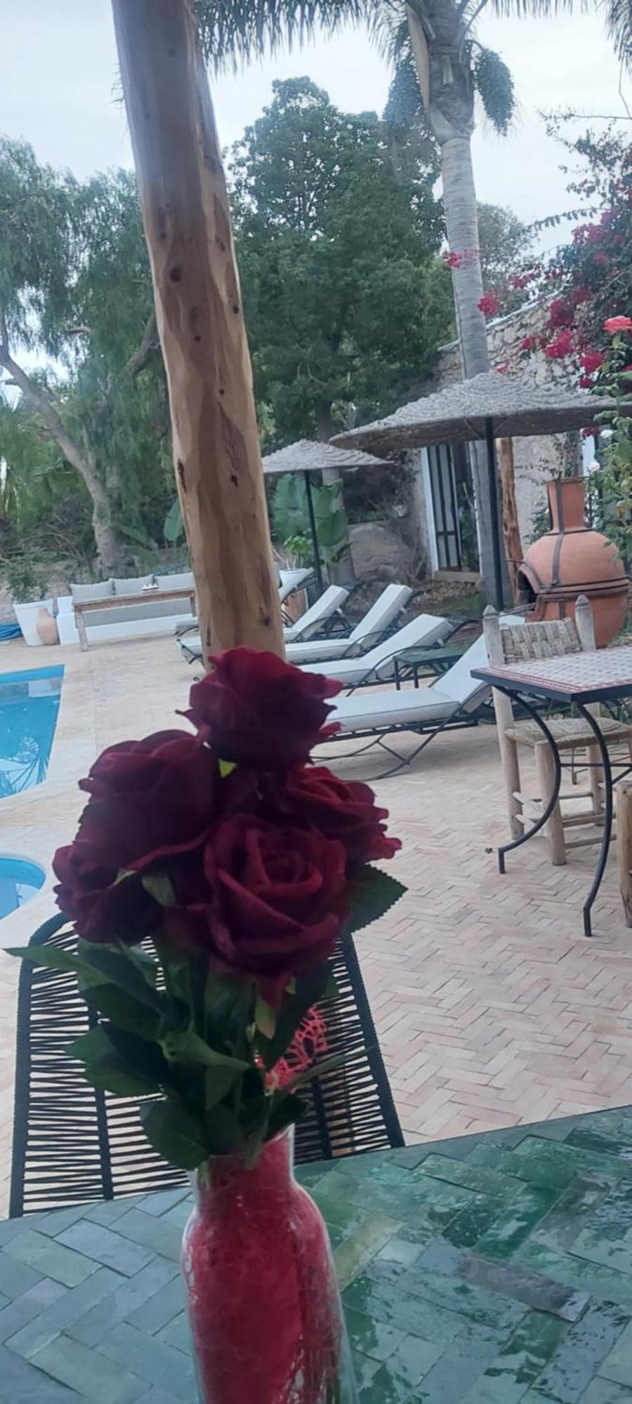 Riad Eucalyptus Essaouira Exterior foto